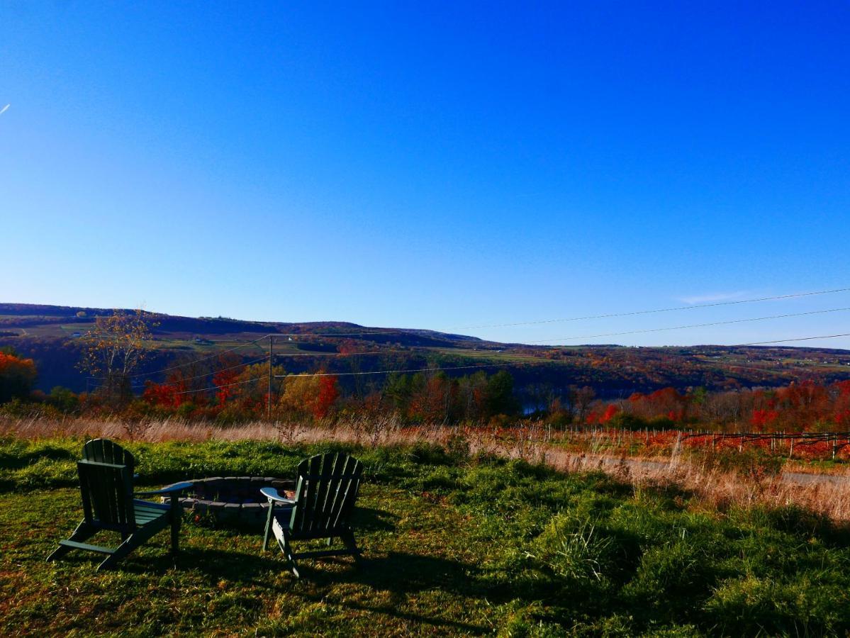 Vineyard Farmhouse With Hot Tub & Lake Views Hammondsport Dış mekan fotoğraf